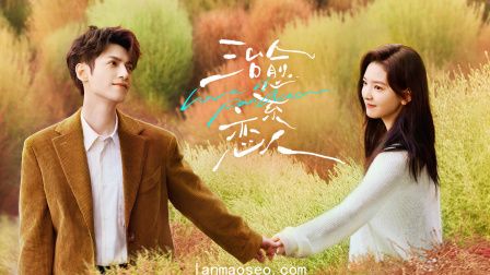 治愈系恋人TV版