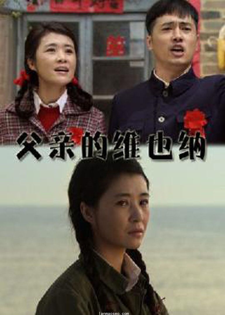 父亲的维也纳