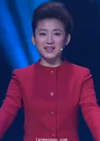 中国灯谜大会第二季